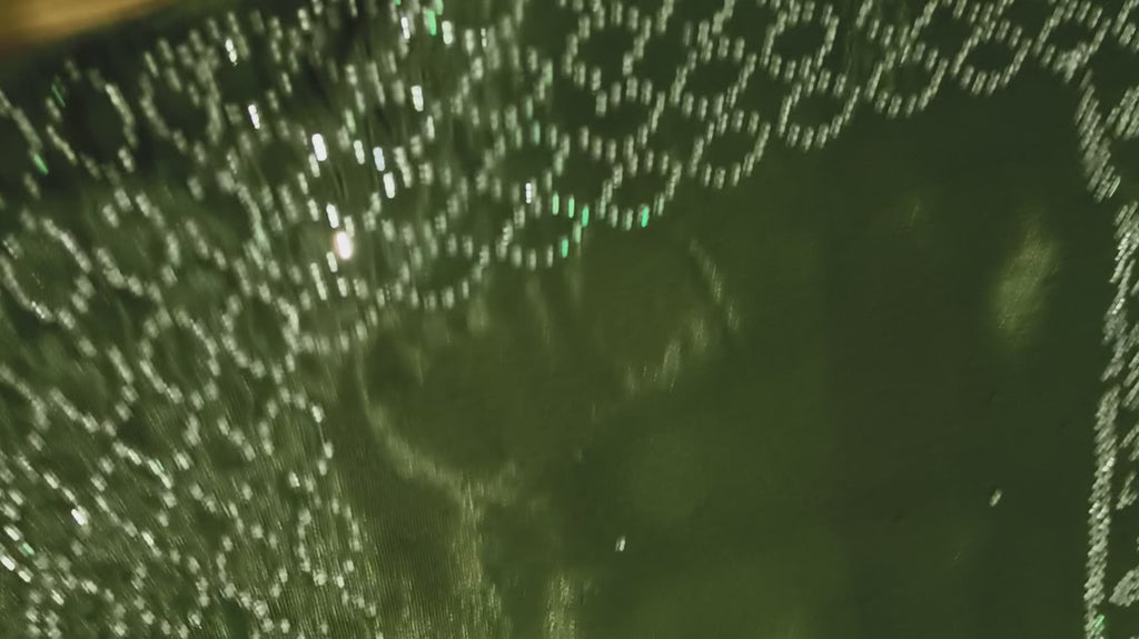 Nimantran Exclusive Fancy Party Wear Saree with Blouse – Elegant Green with Silver Embroidery