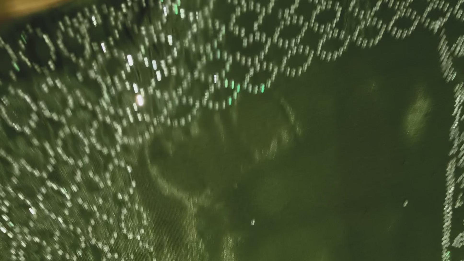 Nimantran Exclusive Fancy Party Wear Saree with Blouse – Elegant Green with Silver Embroidery