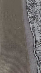 Hiramani Fancy Saree with Blouse | Elegant Ivory Ethnic Wear for Women